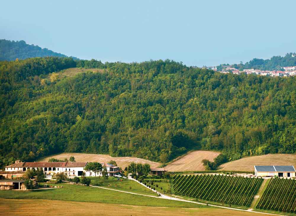 Tenuta Marengo